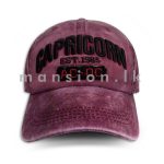 Capricorn Rough Style Cap - Image 2