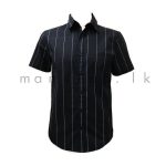 Thin Striped Short Sleeve Shirt