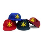 Emb Leaf Hip Hop Cap
