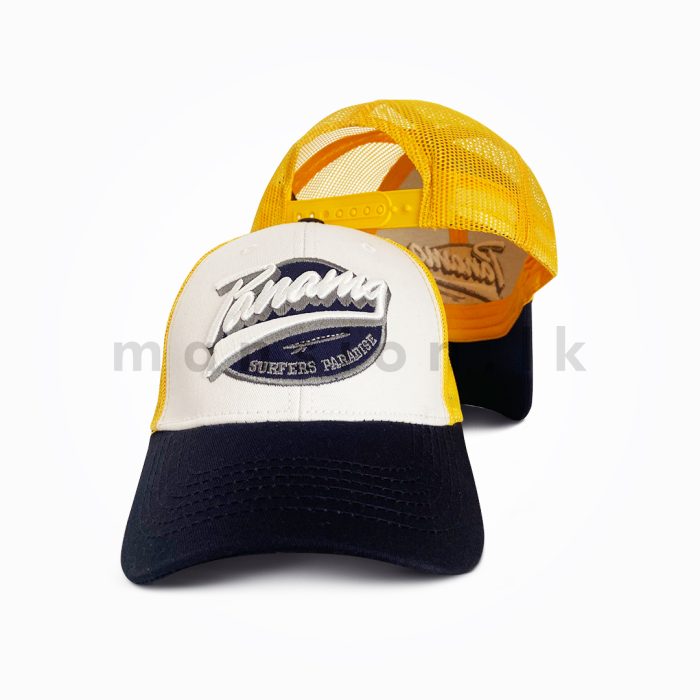 Panama Three Tone Net Cap - Image 2