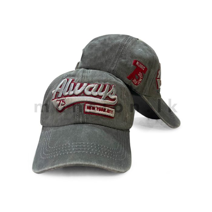 Emb Always Washed Cap - Image 6
