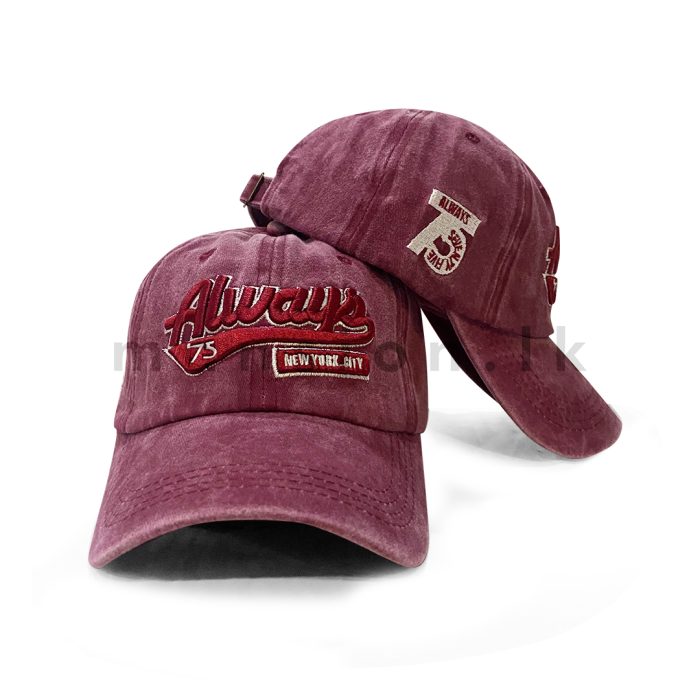 Emb Always Washed Cap - Image 5