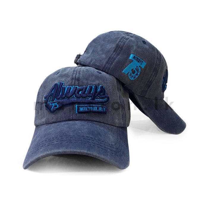 Emb Always Washed Cap - Image 4