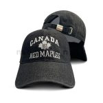 Emb Canada Red Maples Denim Cap - Image 4