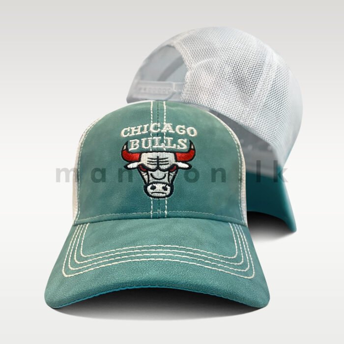 Chicago Red Horns Bulls Baseball Net Cap - Image 4