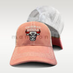 Chicago Red Horns Bulls Baseball Net Cap - Image 3