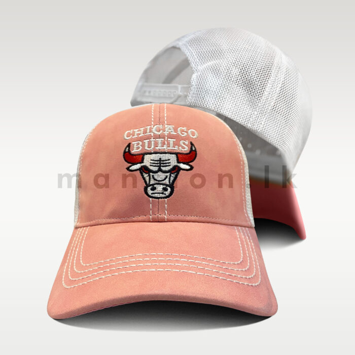 Chicago Red Horns Bulls Baseball Net Cap - Image 3