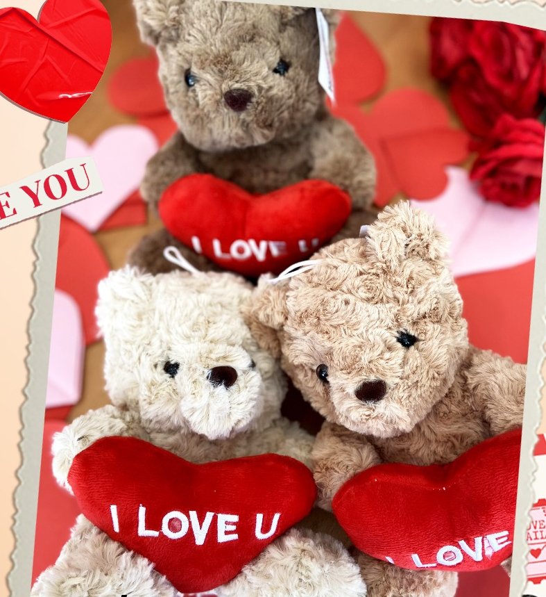 WhatsApp Image 2026-02-11 at 8.41.57 PM (1) Fluffy Teddy with Heart - Image 1